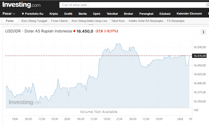 루피아 약세 언제까지…”수입에 선별적 조치를”