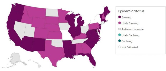 美서 여름철 코로나19 다시 기승 조짐…”38개 주 증가”