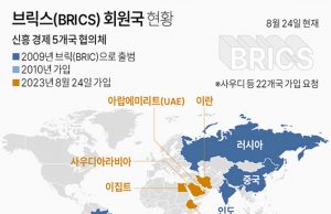 ‘아세안 최대 경제국’ 인도네시아, 브릭스 합류… 중·러에 힘실리나