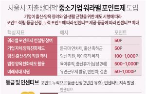 서울시 ‘저출생대책’ 중소기업 워라밸 포인트제 도입