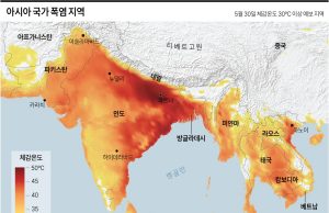 그래픽 한국사회 뉴스 보기(6월 첫 주)