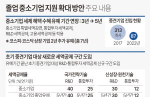 졸업 중소기업 지원 확대 방안 주요 내용