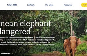 가장 작은 칼리만탄 코끼리, 삼림 벌채로 멸종 위기종 공식 등재