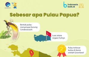 코펜하겐에서 파푸아 커피 인기… 거래액 14억 5천만 루피아 달성