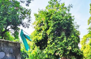 자카르타 상수도 7,000km 파이프라인 교체 작업 중