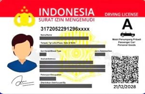 인도네시아 운전면허증, 동남아 간다