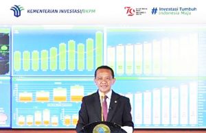 “니켈 다운스트리밍으로 경제가치 10배”