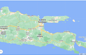 Densus 88 “말랑 예배당 2곳 자살 폭탄 테러 직전 체포”