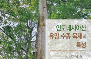 트럼프, 목재에 ‘25%관세’ 수순