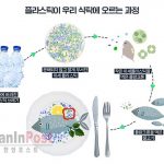 ▲미세프라스틱 해양 유입 경로