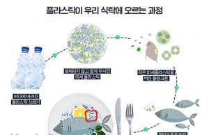 인도네시아, 음식물 미세 플라스틱 섭취 세계 1위… 노출 순위 5가지는?