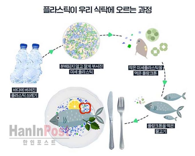 인도네시아, 음식물 미세 플라스틱 섭취 세계 1위… 노출 순위 5가지는?