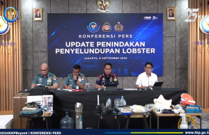 보고르에서 밀반출용 랍스터 종자 5만여 마리 압수