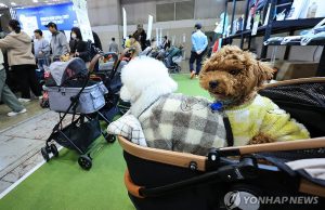 “출산율 꼴찌 한국서 ‘개모차’ 판매 급증” 외신도 관심