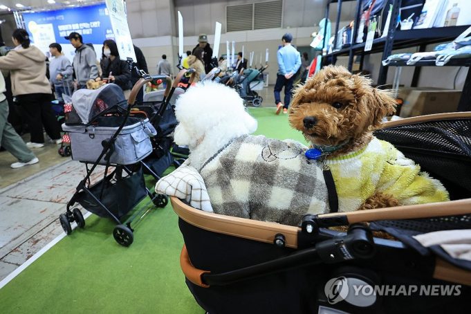“출산율 꼴찌 한국서 ‘개모차’ 판매 급증” 외신도 관심