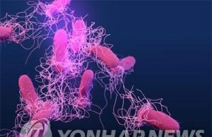 사계절 무더위 나라… 늘어나는 식중독균 위협