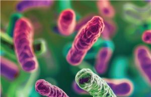 “최소 3개월 모유 먹여야…미생물 발달 돕고 천식 위험 낮춰”