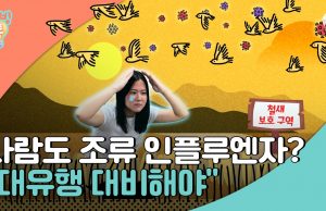 조류 인플루엔자 사람 감염?…”대유행 대비해야”