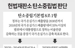 헌법재판소 탄소중립법 판단