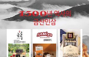 1500년 역사의 금산인삼