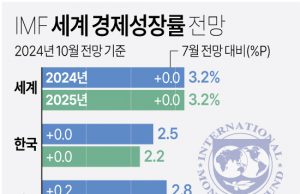 IMF “올해도 한국 1인당 소득, 일본보다 높아…작년보다 격차↑”