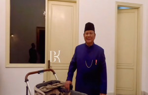 “프라보워, 입양 길 고양이 대통령 궁으로 데려가”