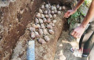 북말루쿠 주민, 수류탄 38발 탄약 28발 발견 소동