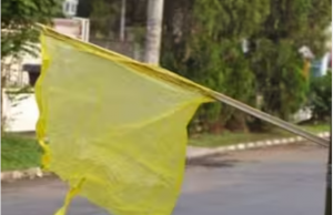 노란 깃발의 행렬