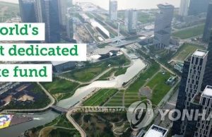 녹색기후기금, ‘개도국 산림 탄소흡수’ 강화사업 본격화