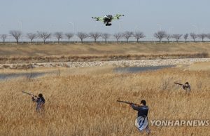 5년여간 비행기에 부딪힌 새 623마리… 인천공항 야생동물 위험성 평가 시행