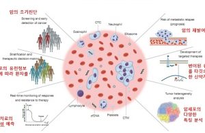 유방암부터 폐암까지…조기 진단 지표 ‘바이오마커’