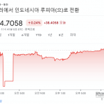 11월14일-구글은-달러대비-인도네시아-루피아-환율-그래프