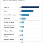 ▲WHO, 2021년 인도네시아의 사망원인 발표. 2024.11.19