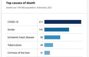 인도네시아 10대 사망원인… “만성질환과 감염병의 이중고”