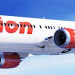 ▲라이언 항공 비행기