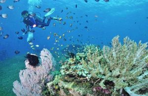 발리, 관광객 넘쳐나는 쓰레기로 몸살