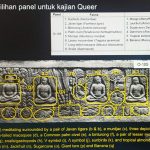 ▲인도네시아 국립연구혁신청은 보로부두르 사원 1,460개 이상의 부조에서 80종 이상의 식물과 동물이 확인되었다고 발표. 2024.10.29