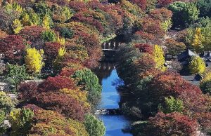 사진으로 보는 가을 단풍 여행