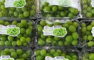 식품청 Bapanas, 머스캣 포도 신속 검사 결과 발표… “소비안전”