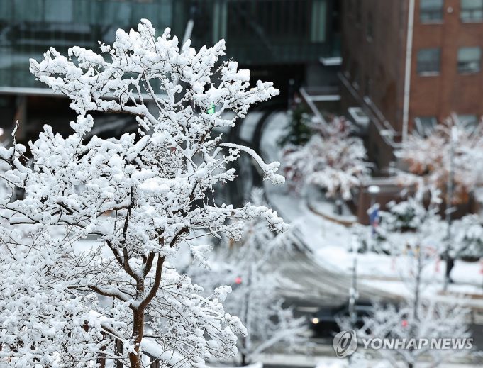 사진으로 보는 수도권·강원 대설특보…중대본 1단계·위기경보 ‘주의’ 상향