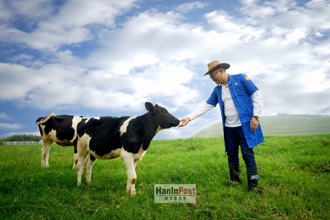 프라보워 무상급식 공약 지키려 젖소 100만마리 수입 추진