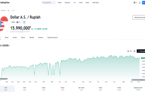 8월 이후 가장 큰 폭 환율 16,000 루피아대까지 올라