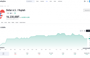 연말 폐장앞두고 달러 대비 루피아화 16,230대 유지