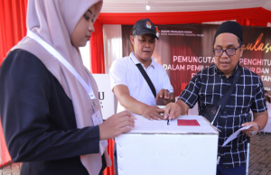 2024년 지방선거, 헌법재판소에 분쟁 신청 206건 접수