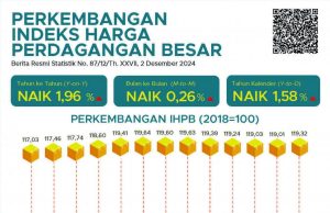 2024년 11월 도매물가 1.96% 상승… 건설자재 가격도 오름세