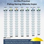 ▲지역별 강우량 현황