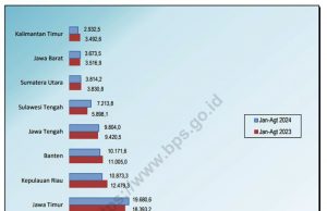2024년 1월~8월 지역별 수입 실적 “DKI 자카르타의 압도적 우위”