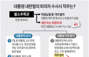 대통령 내란혐의 피의자 수사시 직무는?