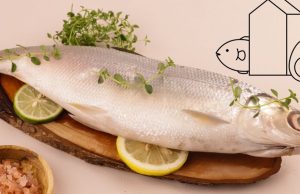 물고기 우유(어유), 무료 영양식 프로그램의 대안으로 부상