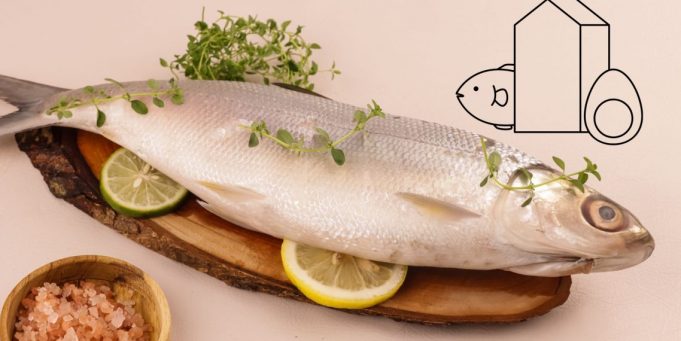 물고기 우유(어유), 무료 영양식 프로그램의 대안으로 부상